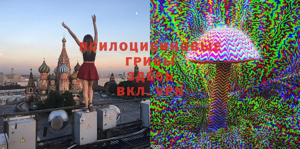 прущий лед Горно-Алтайск