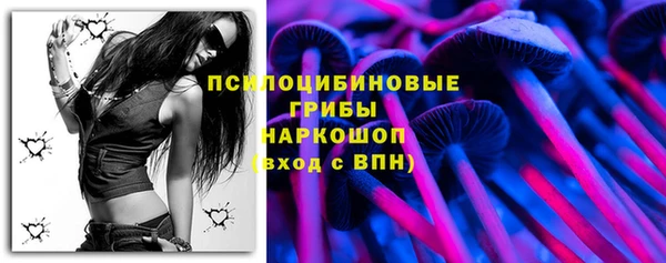 прущий лед Горно-Алтайск