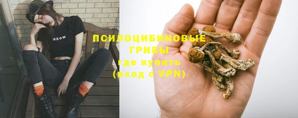 прущий лед Горно-Алтайск