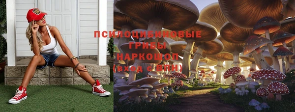 СК Горняк