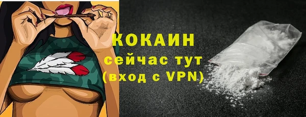 СК Горняк
