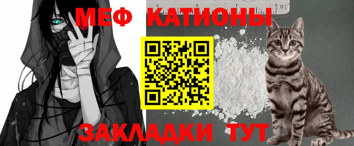 МЯУ-МЯУ мяу мяу  МЯУ-МЯУ 4 MMC  Малоярославец  МЯУ-МЯУ  Вход с VPN 