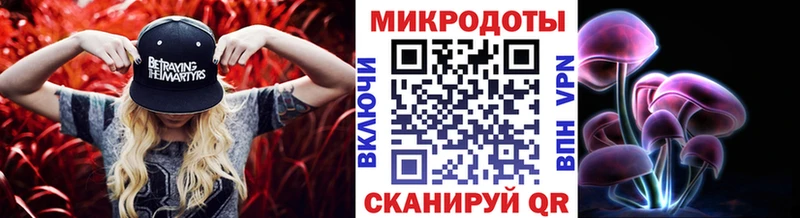 omg зеркало  Малоярославец  площадка клад  Галлюциногенные грибы Cubensis 