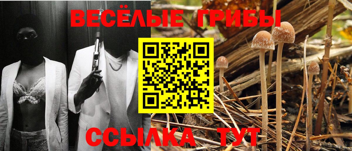 Малоярославец  Псилоцибиновые грибы ЛСД  Вход с VPN 