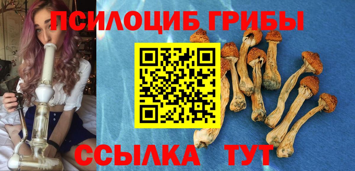 Галлюциногенные грибы MAGIC MUSHROOMS Малоярославец