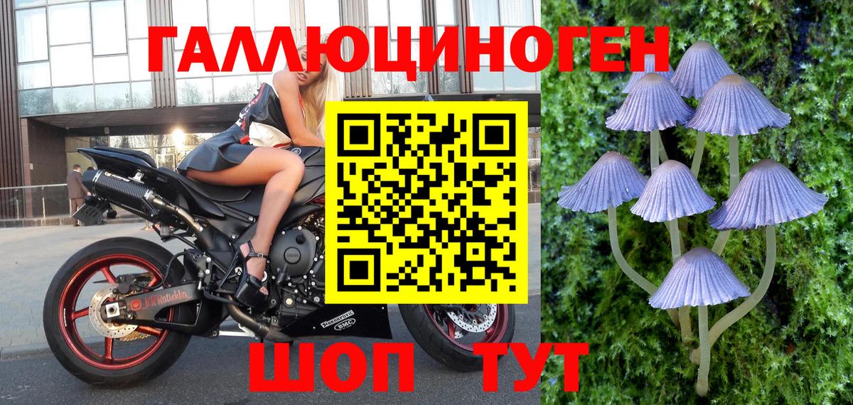 Галлюциногенные грибы MAGIC MUSHROOMS Малоярославец